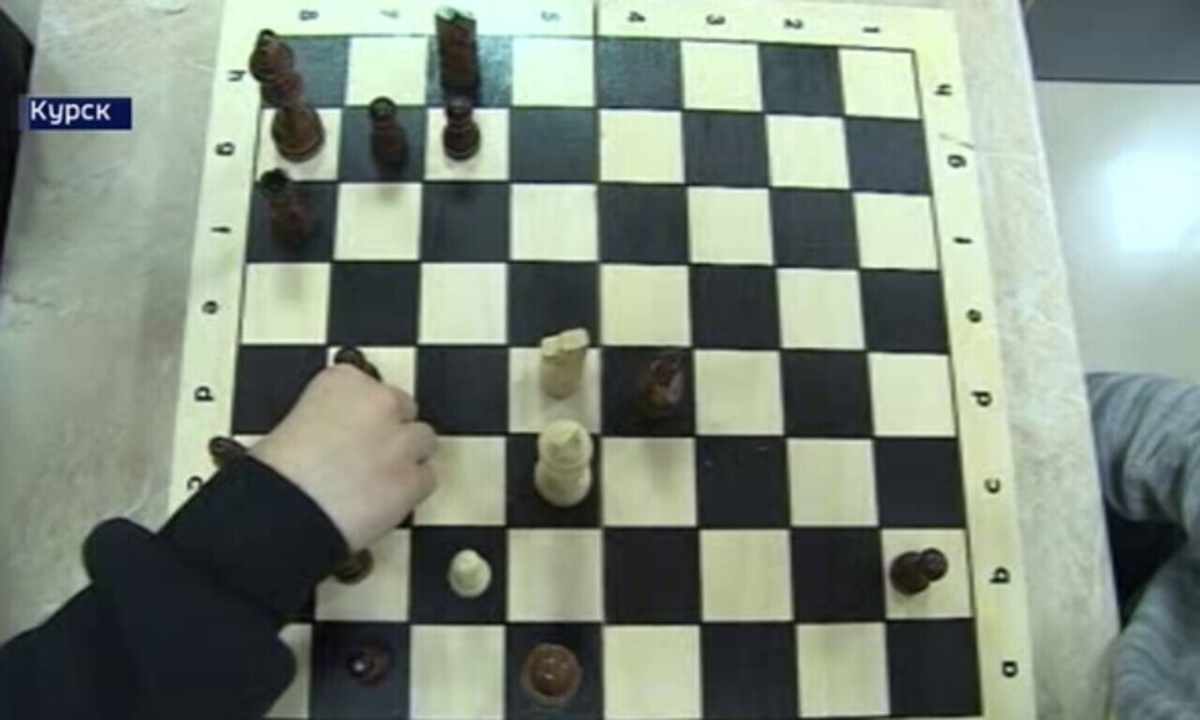    В Курске прошёл турнир по шахматам и шашкам