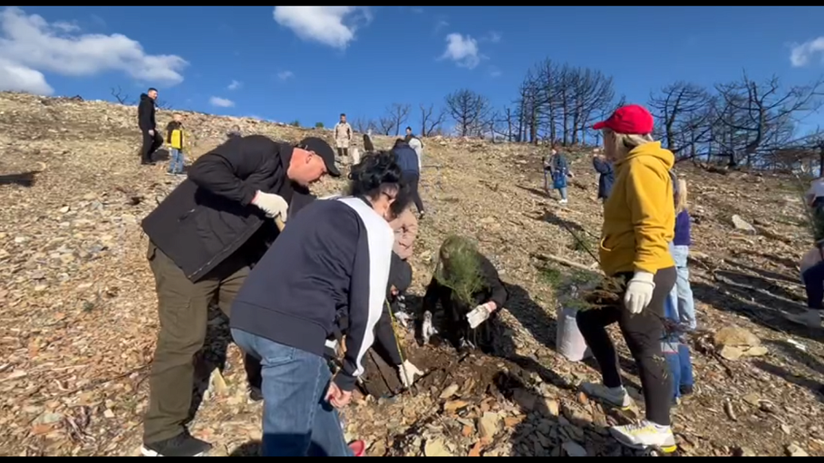    Фото: t.me/mpr_kk