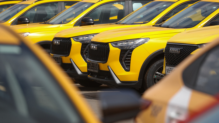 Фото: Belkin Alexey/Globallookpress 