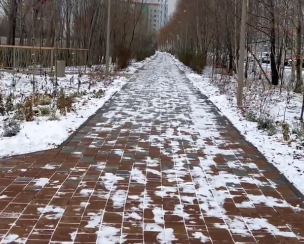    Фото: Телеграм-канал Комитета внешнего благоустройства Казани