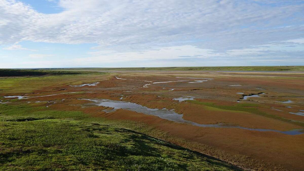    Заболоченная речная долина на Колгуеве. Фото Григория Потапова stalker