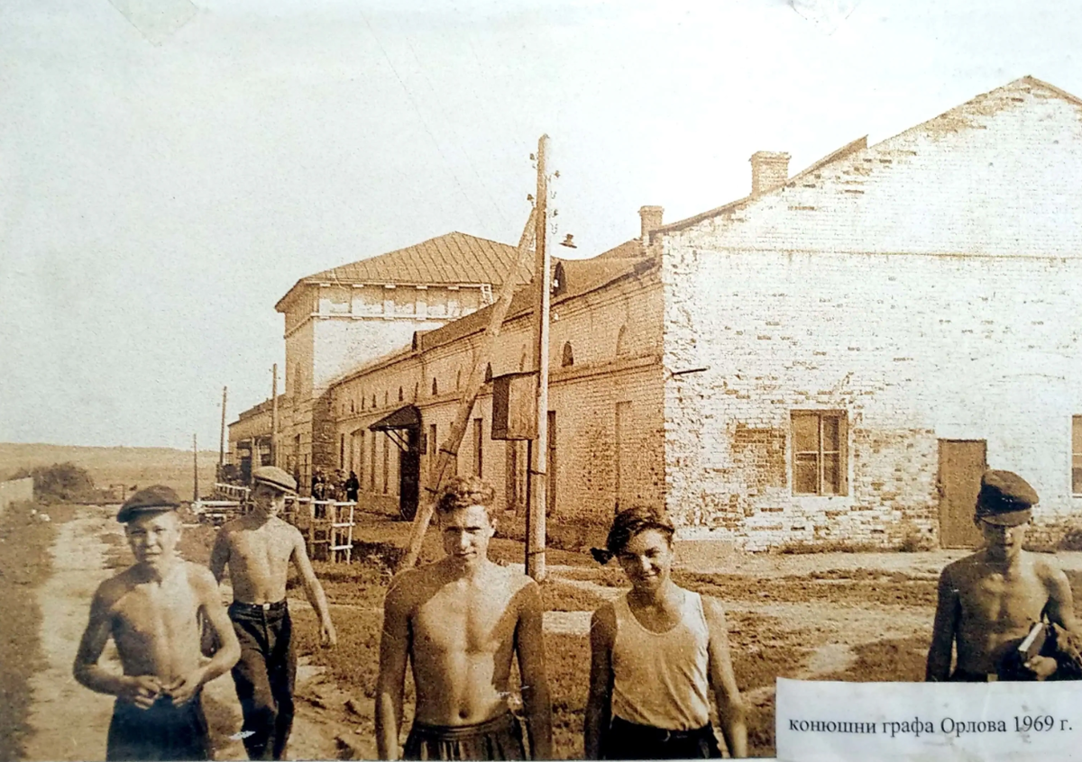 Взято из открытого источника. Конезавод в селе Остров