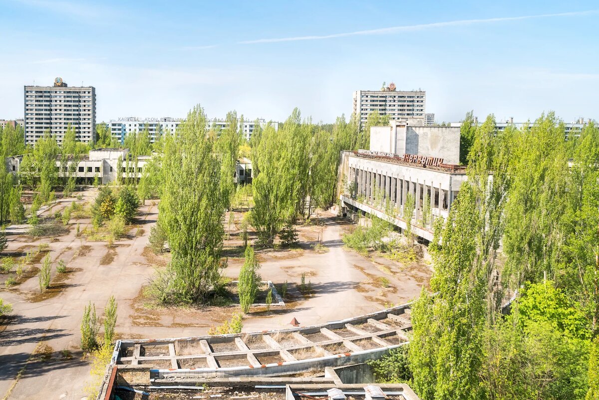 фото из открытых источников