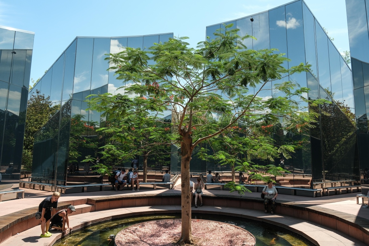 Нынешним летом королевский делоникс впервые расцвел в парке «Краснодар». Этого события флористы ждали четыре года. 
Фото: Михаил Ступин