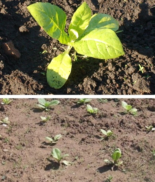 Все по местам