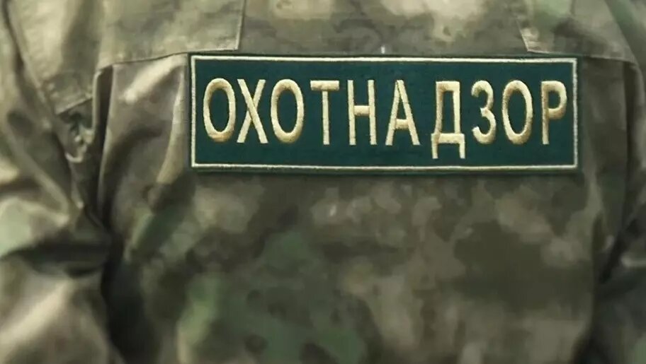     Источник: VK/Министерство природных ресурсов Удмуртии