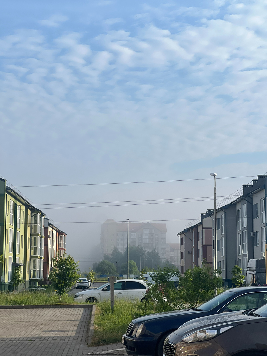 Утренняя прогулка - плюс ко всему дню