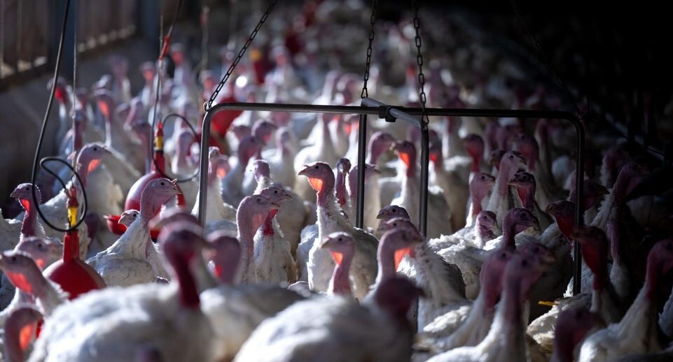    Sven Hoppe/dpa / Global Look Press