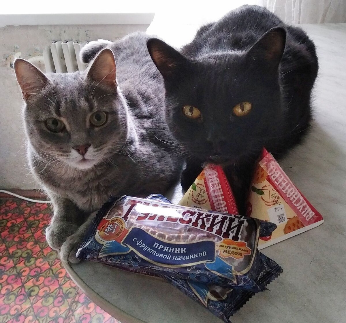 Серый Ярик, чёрный Микки. Вместе - организованная группировка, 