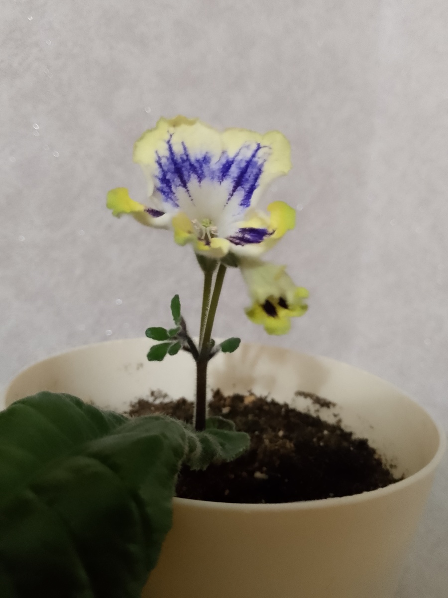 (фото из архива автора)