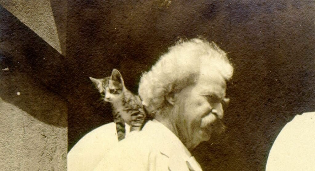 Марк Твен и котенок (имя неизвестно). Автор истории о Томе Сойере придумывал оригинальные клички своим питомцам. Так, у него жили коты с кличками Вельзевул, Аполлинарис, Буффало Билл и другие