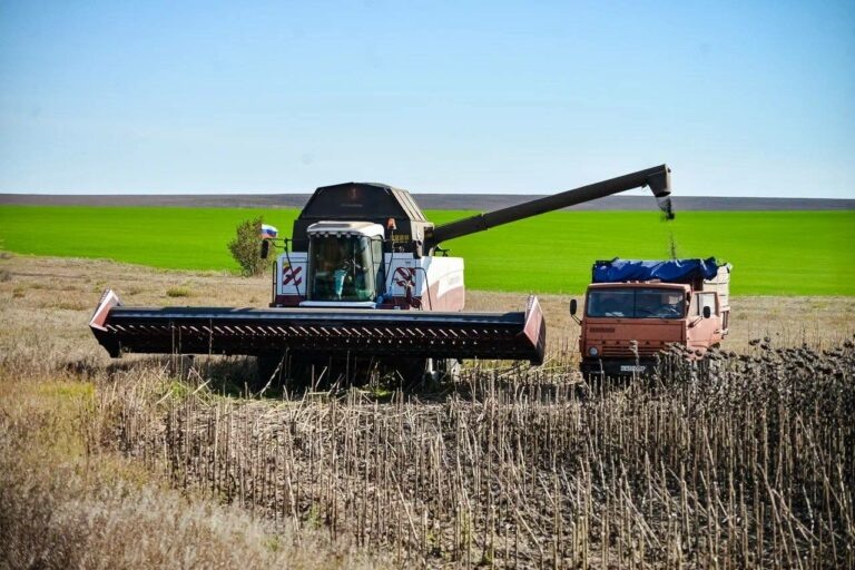    Продолжают обновлять. Оренбургские аграрии приобрели технику на 7,8 млрд рублей Кристина Просвиркина