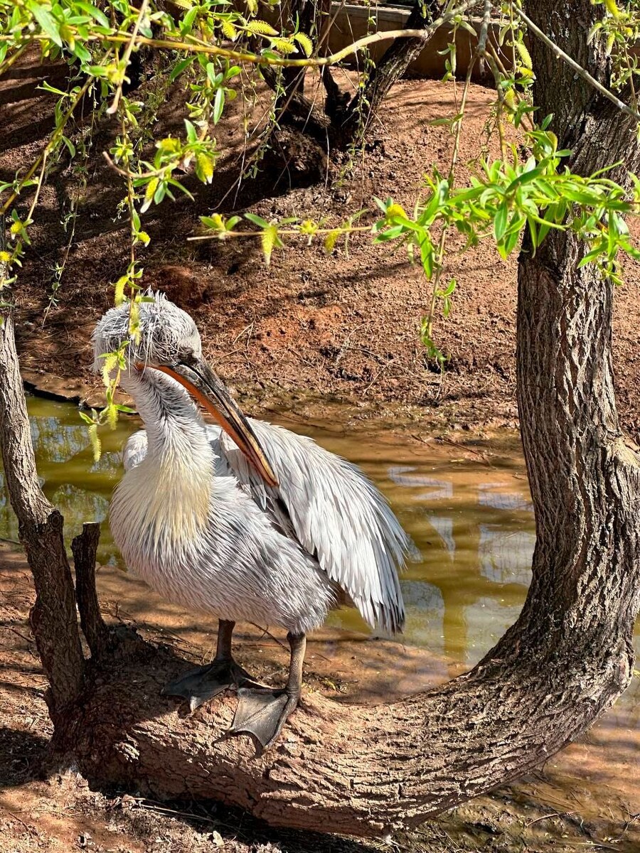 Вся непойми в чем от усилий, а клиентов нет(((