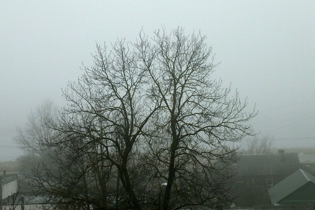 Victor Lisitsyn, Виктор Лисицын/Global Look Press