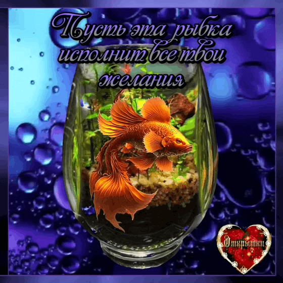 Пусть все ваши желания сбудутся!