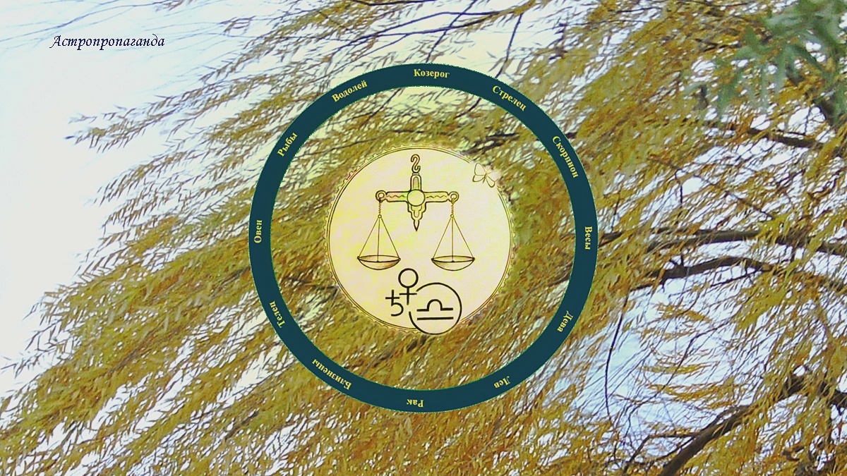 Знак Весов: гороскоп на ноябрь 2024 | Гороскоп для Весов с 4 ноября по 1 декабря 2024. 