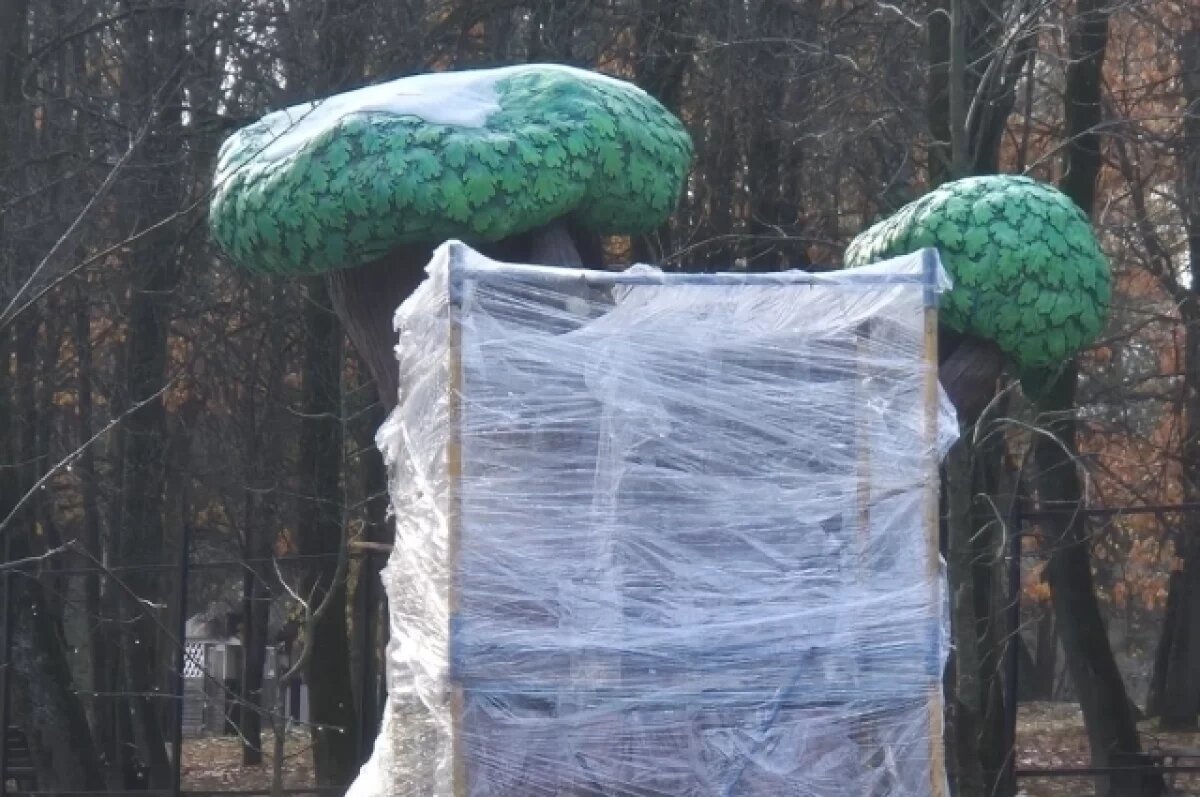    В Брянске переделают «сказочный» дуб после критики местных жителей