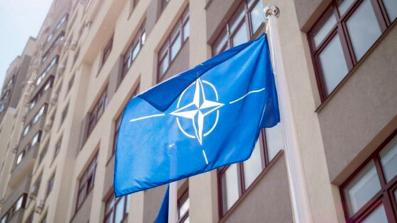    Делегация НАТО обсуждала с Арменией оборонные реформы Роман Захаров