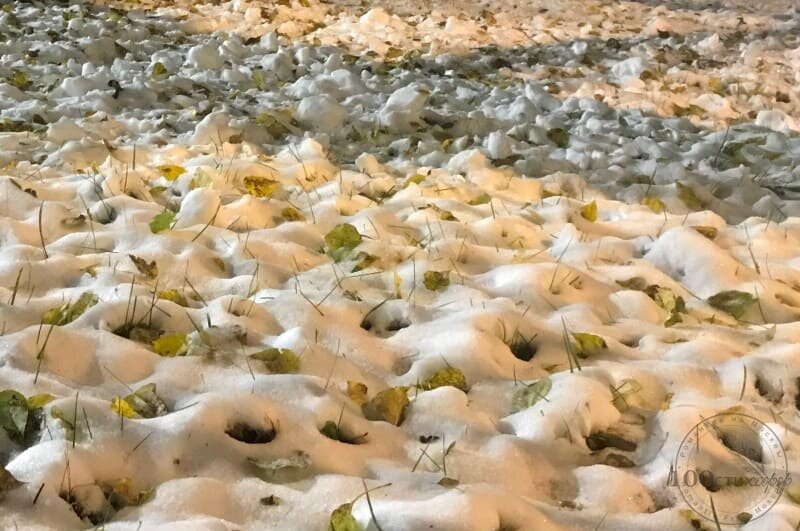 Снег ноября