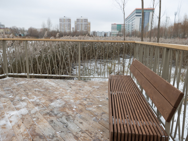     Фото: Мэрия Казани