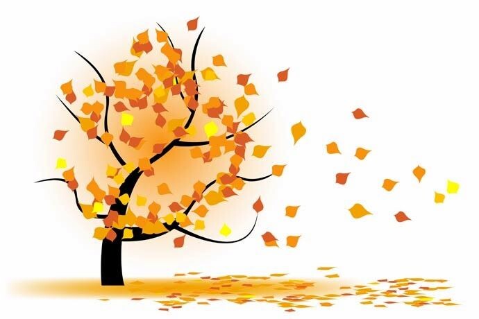 Ветренная погода моего города.... 