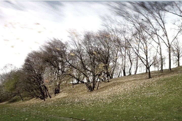 Спектакль непогоды в моём городе. Фотография автора, ноябрь 2024 года. 