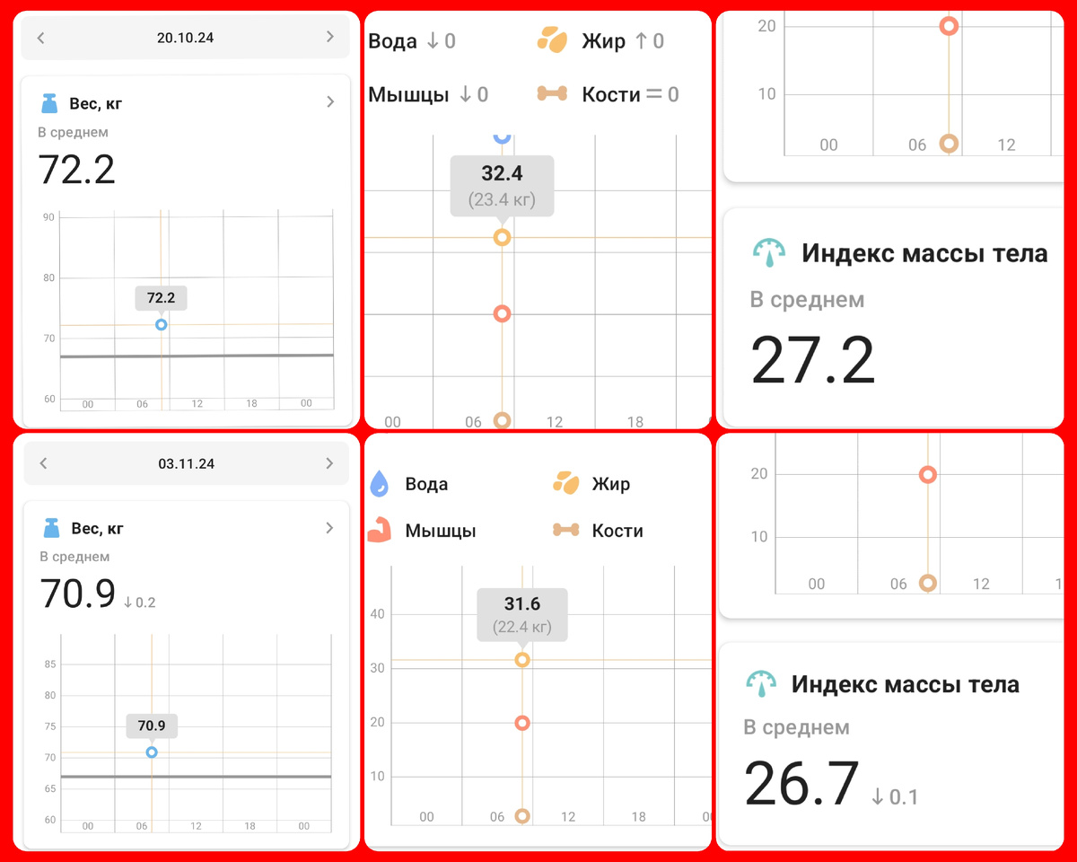 отчет умных весов