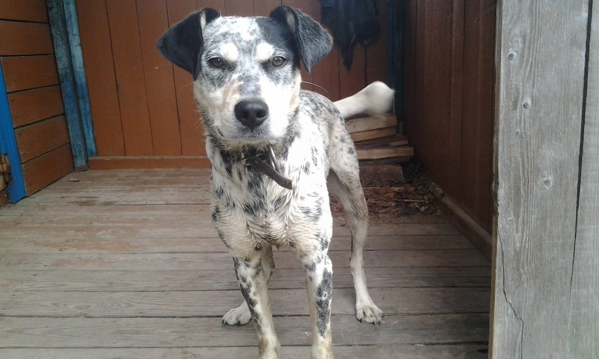 Лордик. Фото автора.