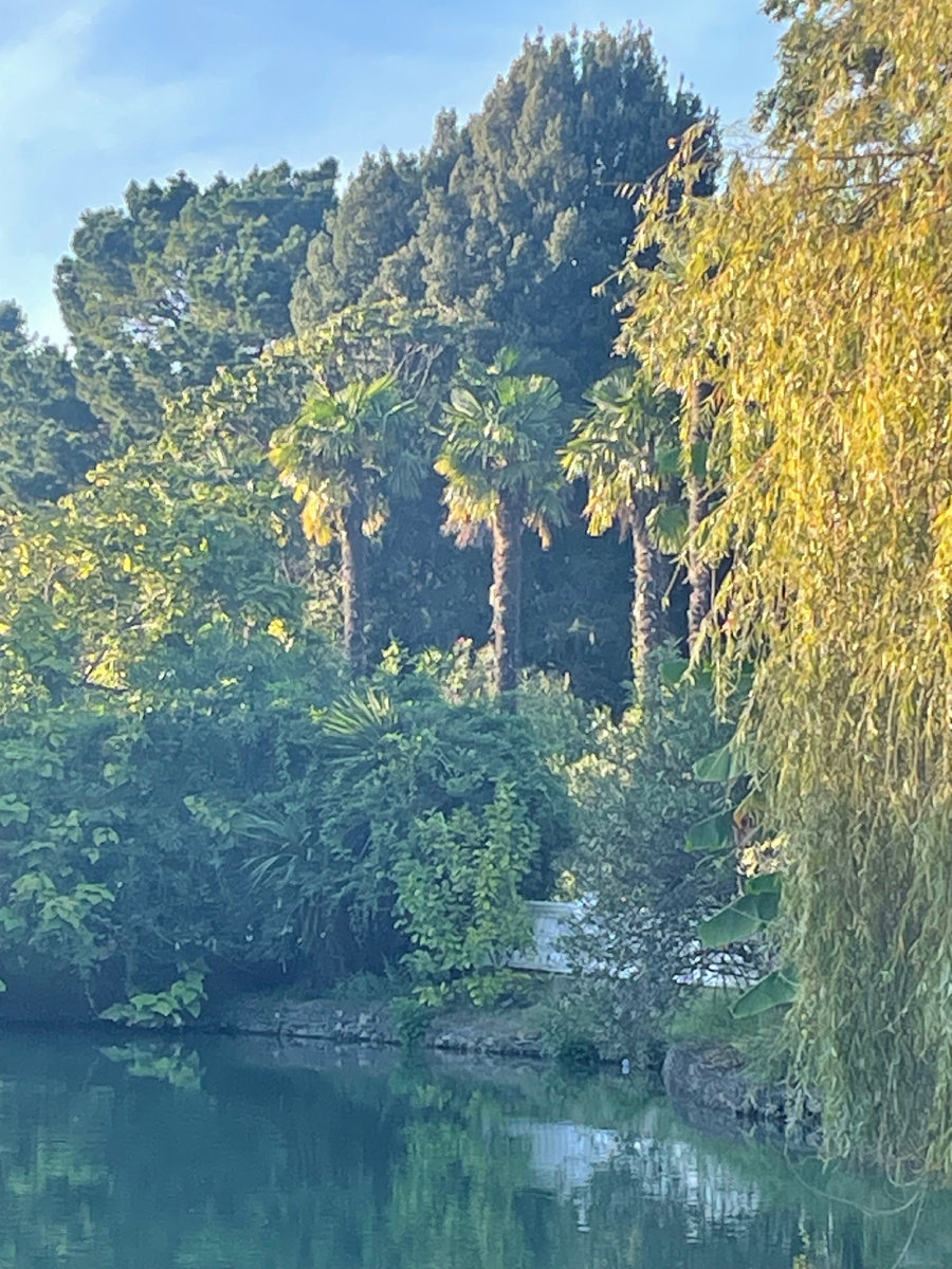 Сочи прекрасен, как ни крути!