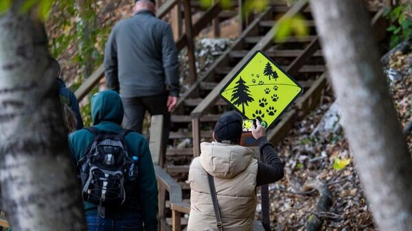    © РИА Новости Крым . Дмитрий Макеев