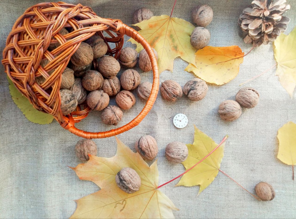 БЛАГОСЛОВИТЕ ЖЕНЩИНУ - женский журнал 