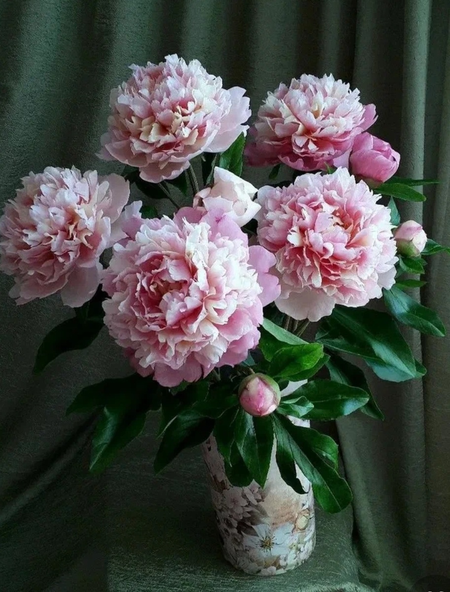 Фото из открытых источников. Цветы как настоящие.