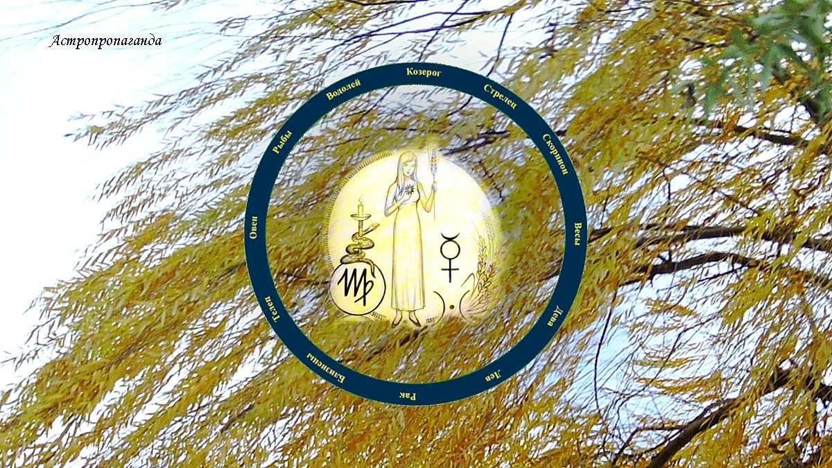 Знак Девы: гороскоп на ноябрь 2024 | Гороскоп для Девы с 4 ноября по 1 декабря 2024. 