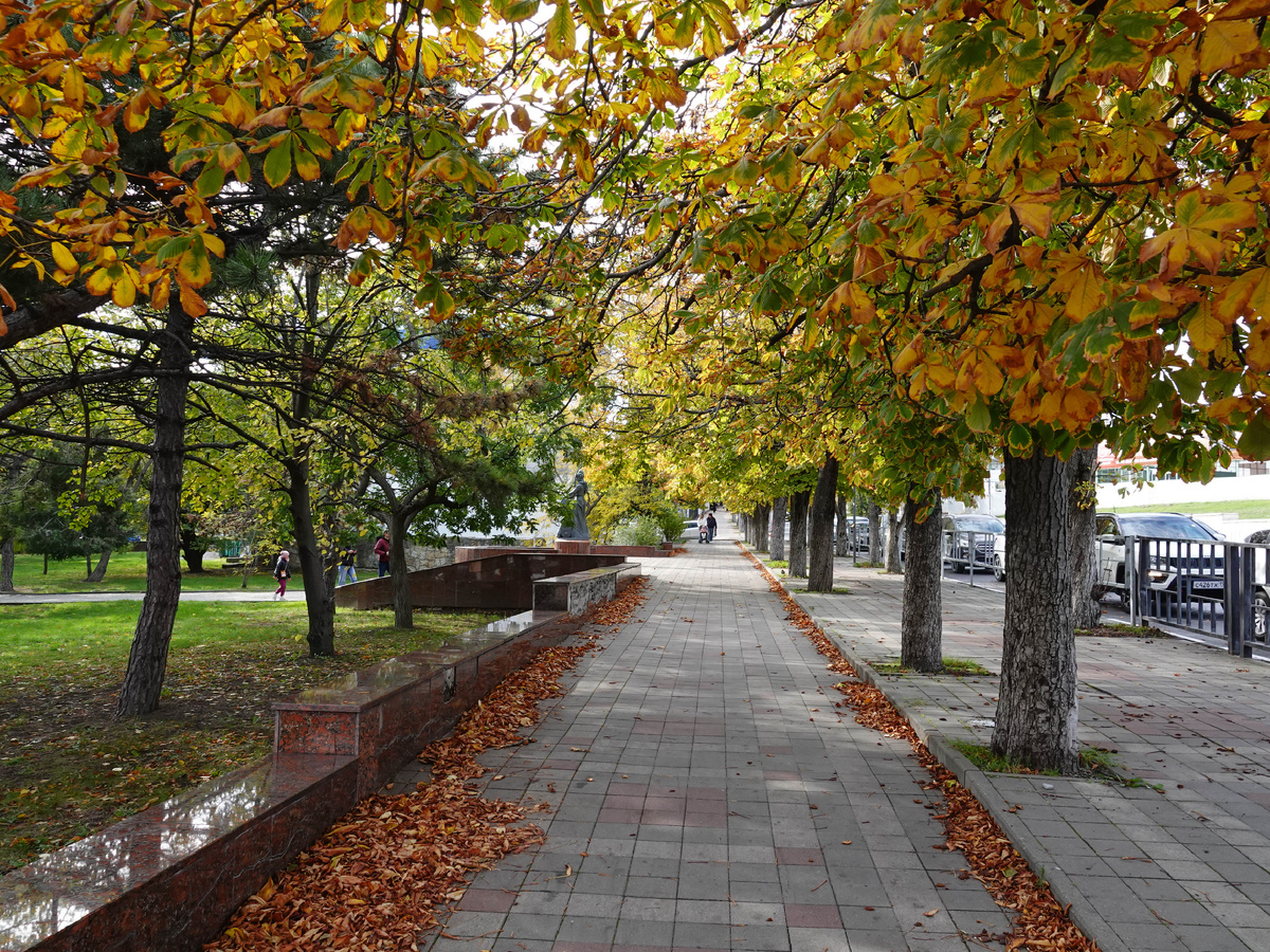 Новороссийск 