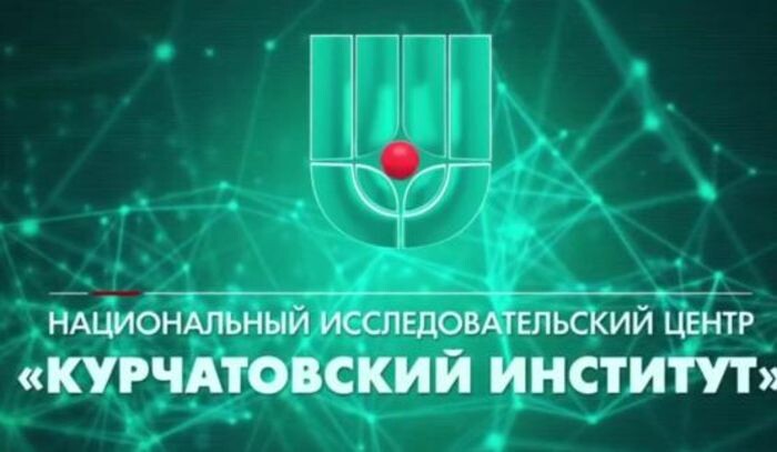 Источник фото: скриншот видео//t.me/kurchatovnrcki