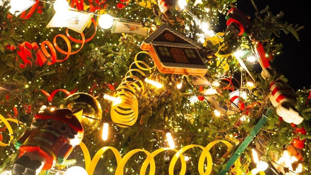    Фото: Дмитрий Абрамов / MR7