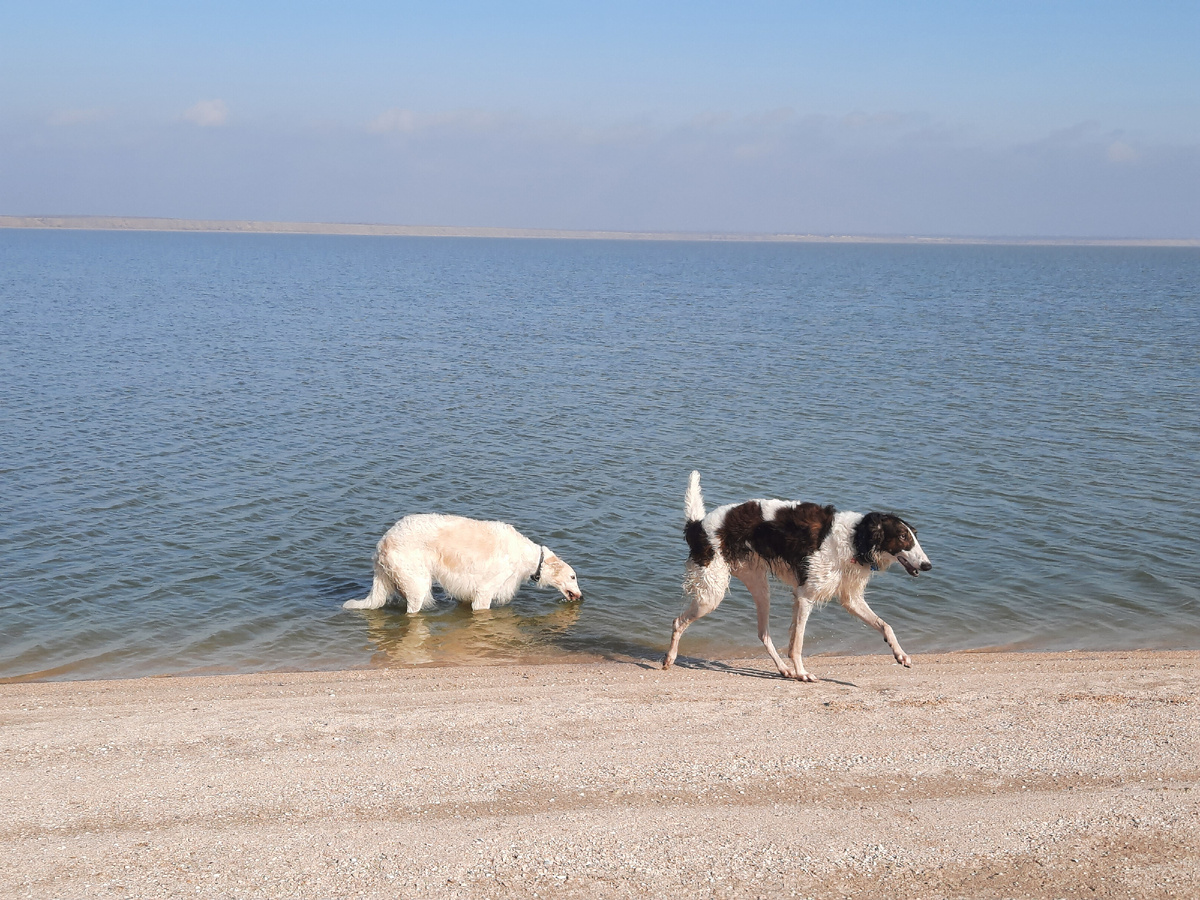 Выходной на море