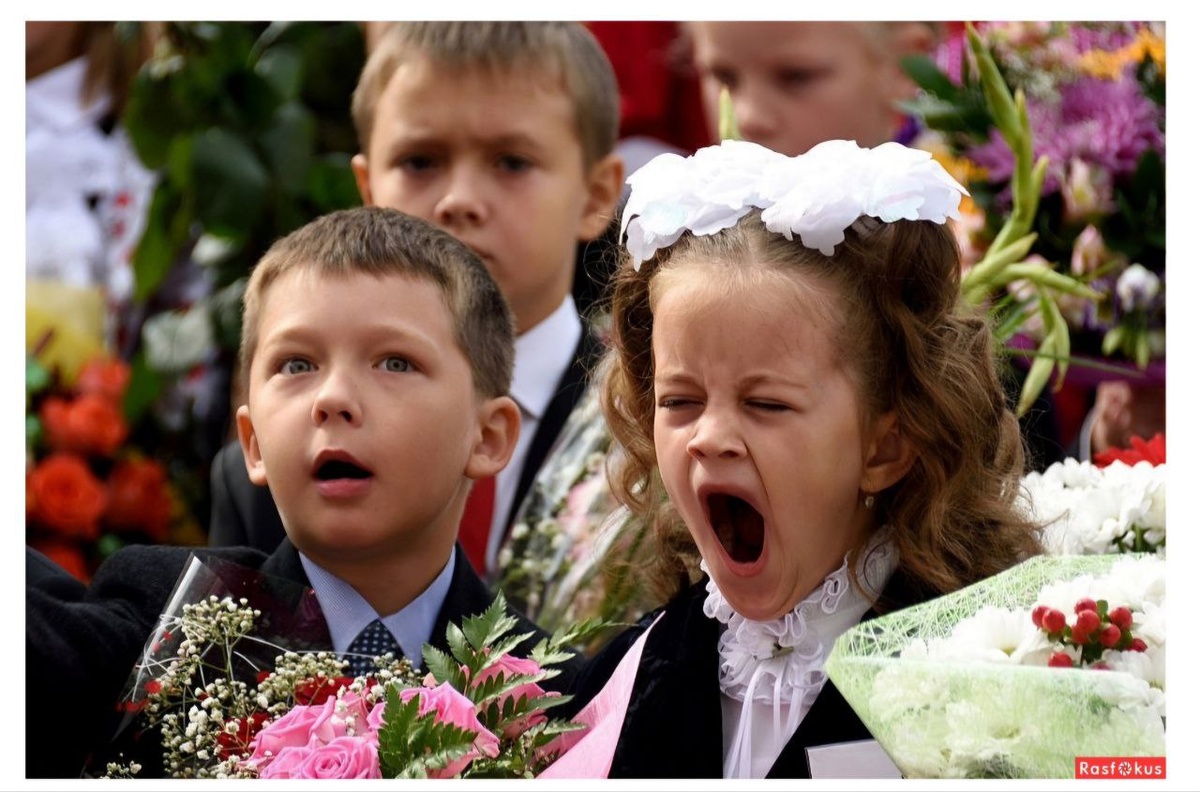 фото из задания
