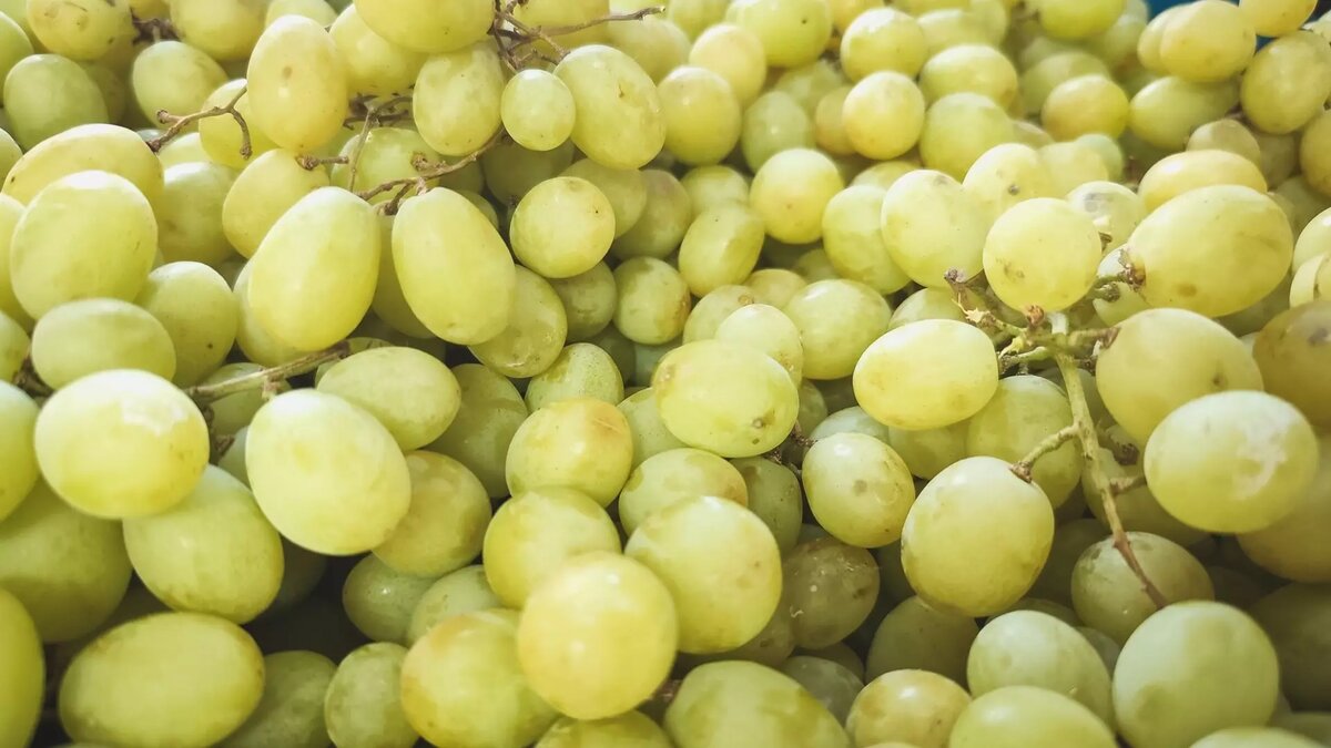     Автор: Фото для иллюстрации Источник: 1MI