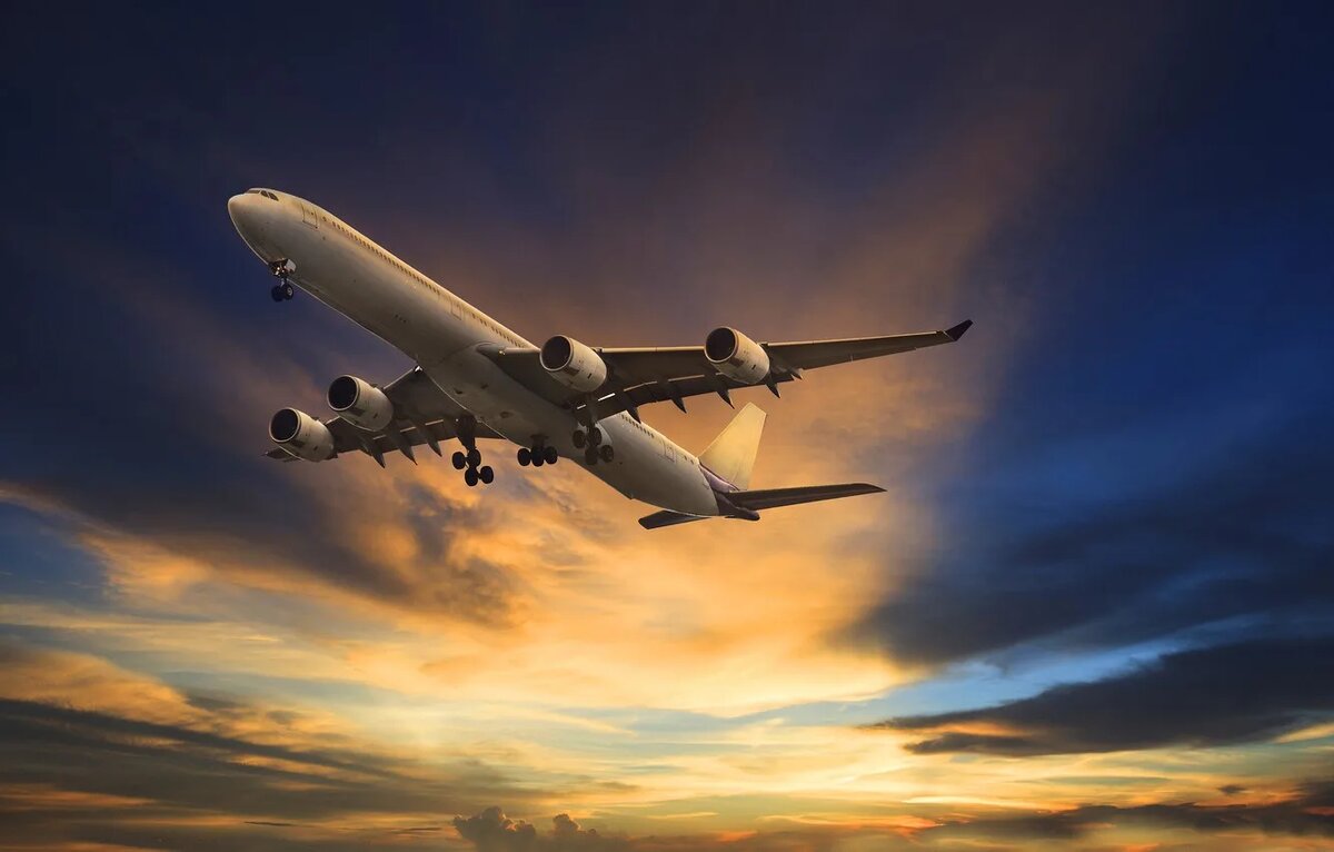 Яндекс. Картинки