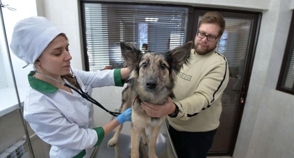    РИА «Новости»