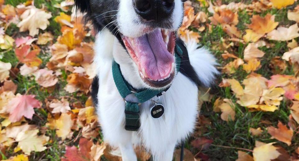     прокуратура Москвы / Telegram