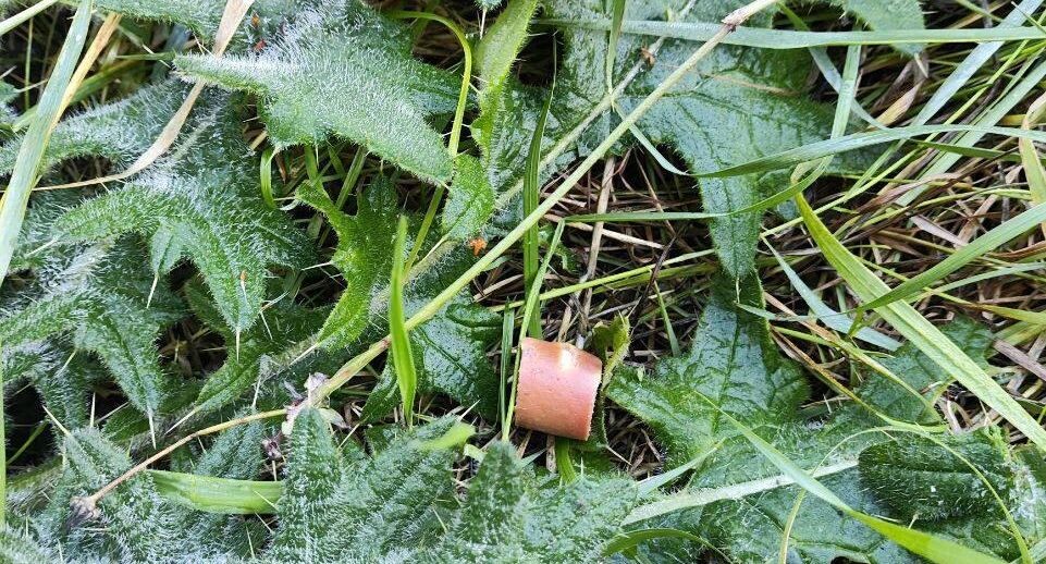     прокуратура Москвы / Telegram