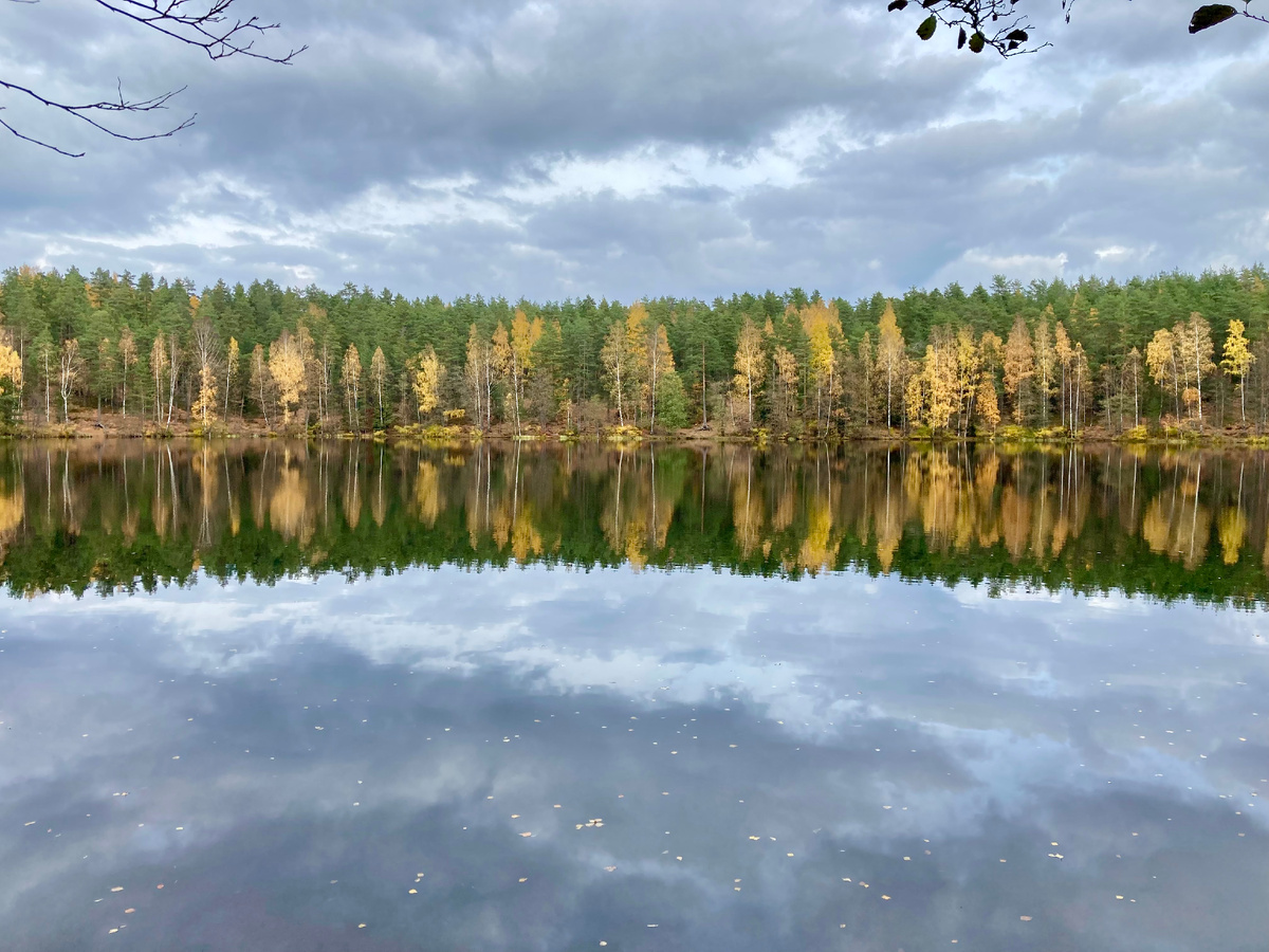 В статье все фото авторские. Озеро Дружинное