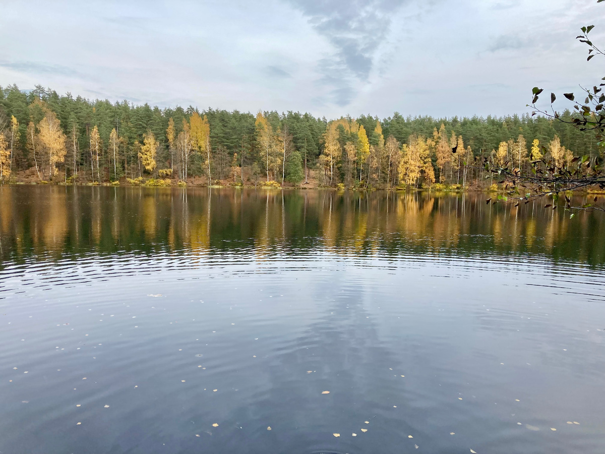 Дружинное озеро