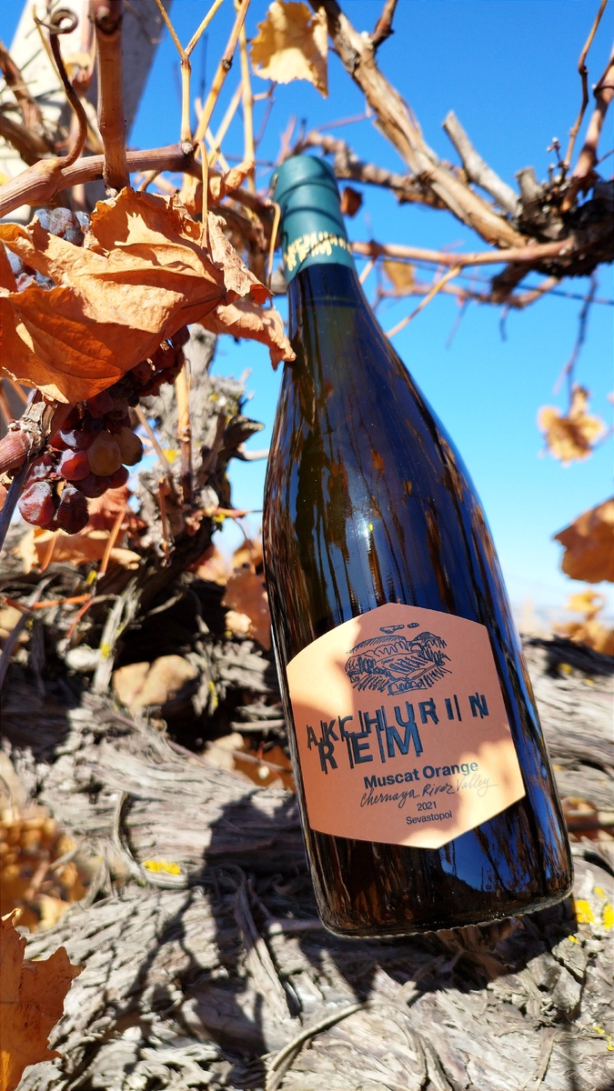 Нашли лозы с виноградом 🍇