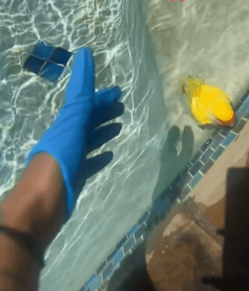 Кадр из видео: 120.su