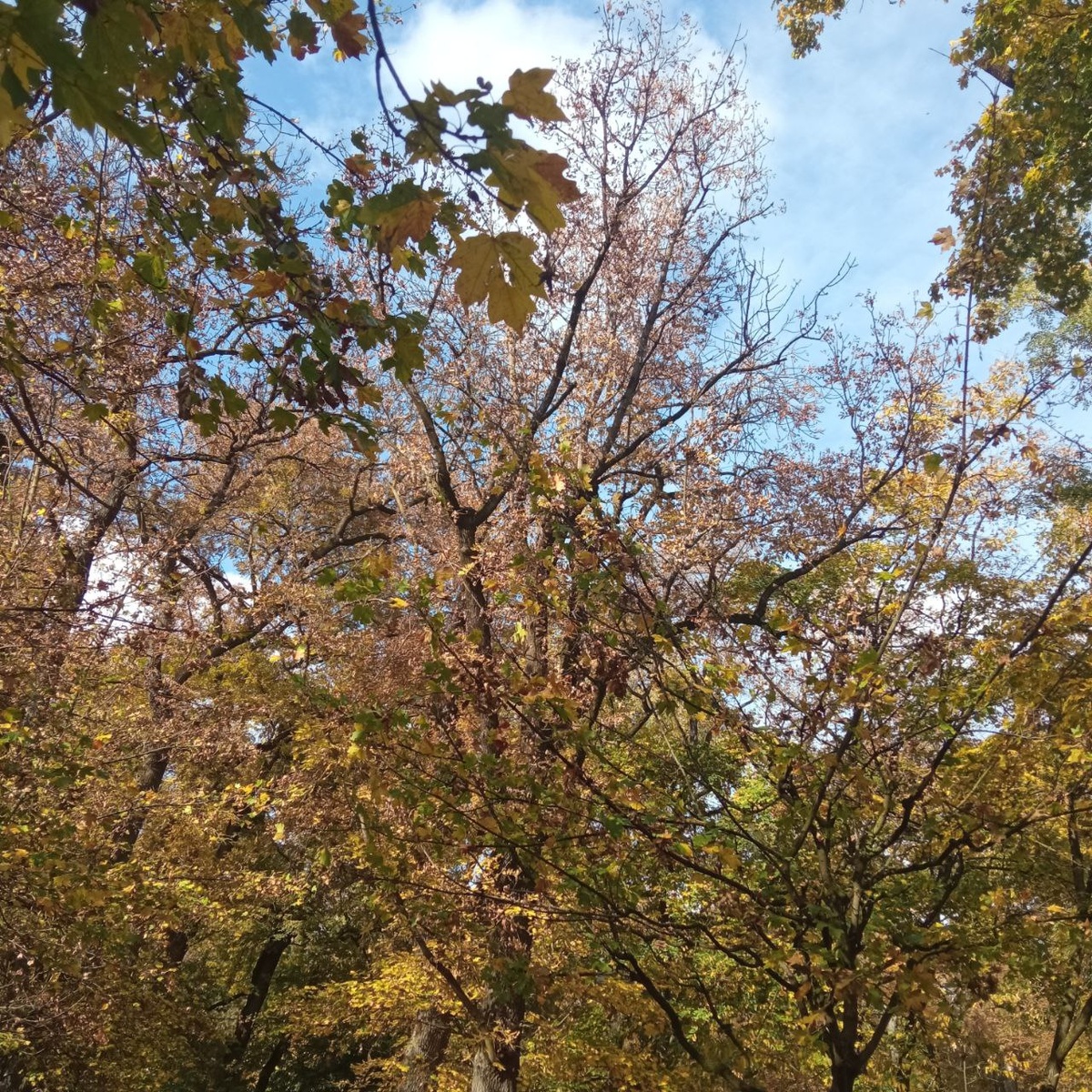 Национальный Парк. Солнечный осенний денёк
