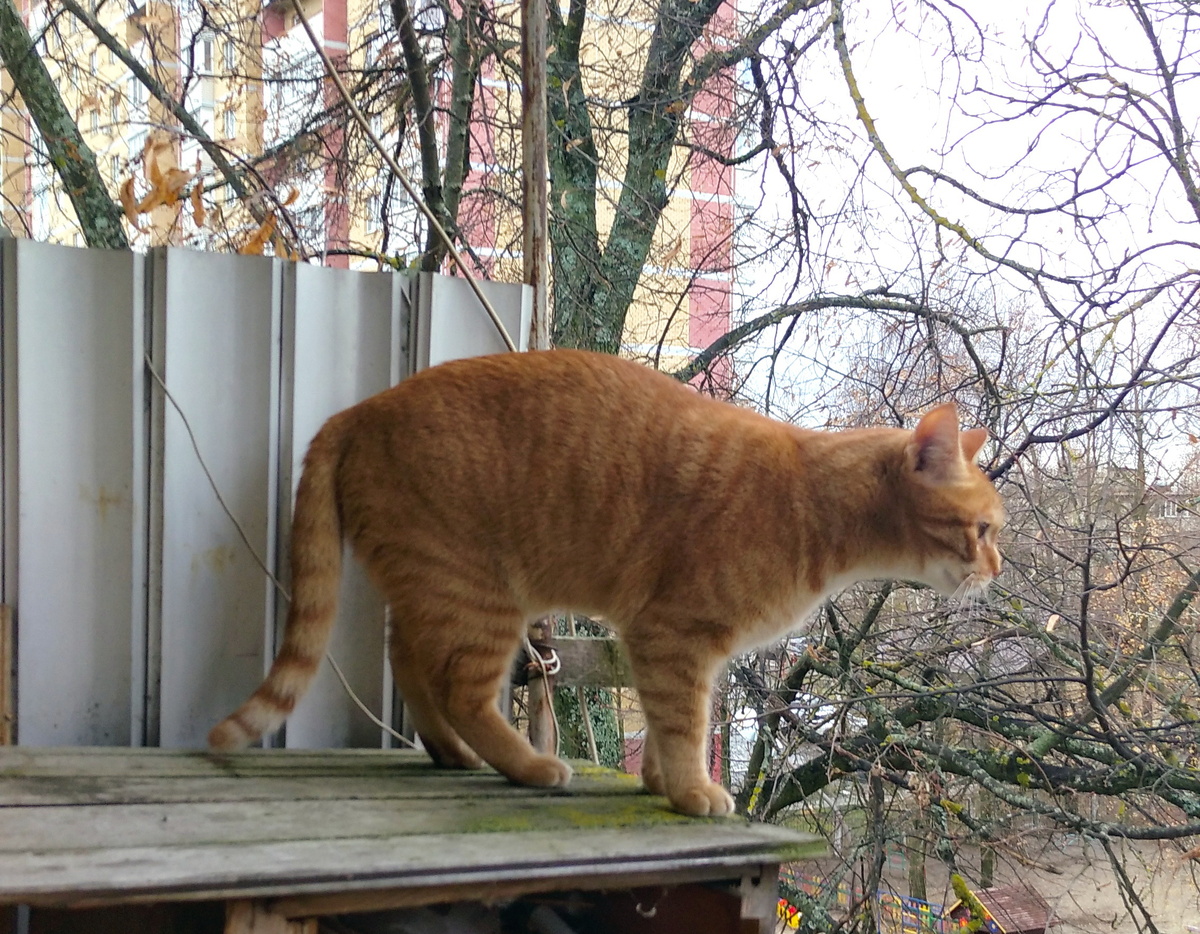 личное фото