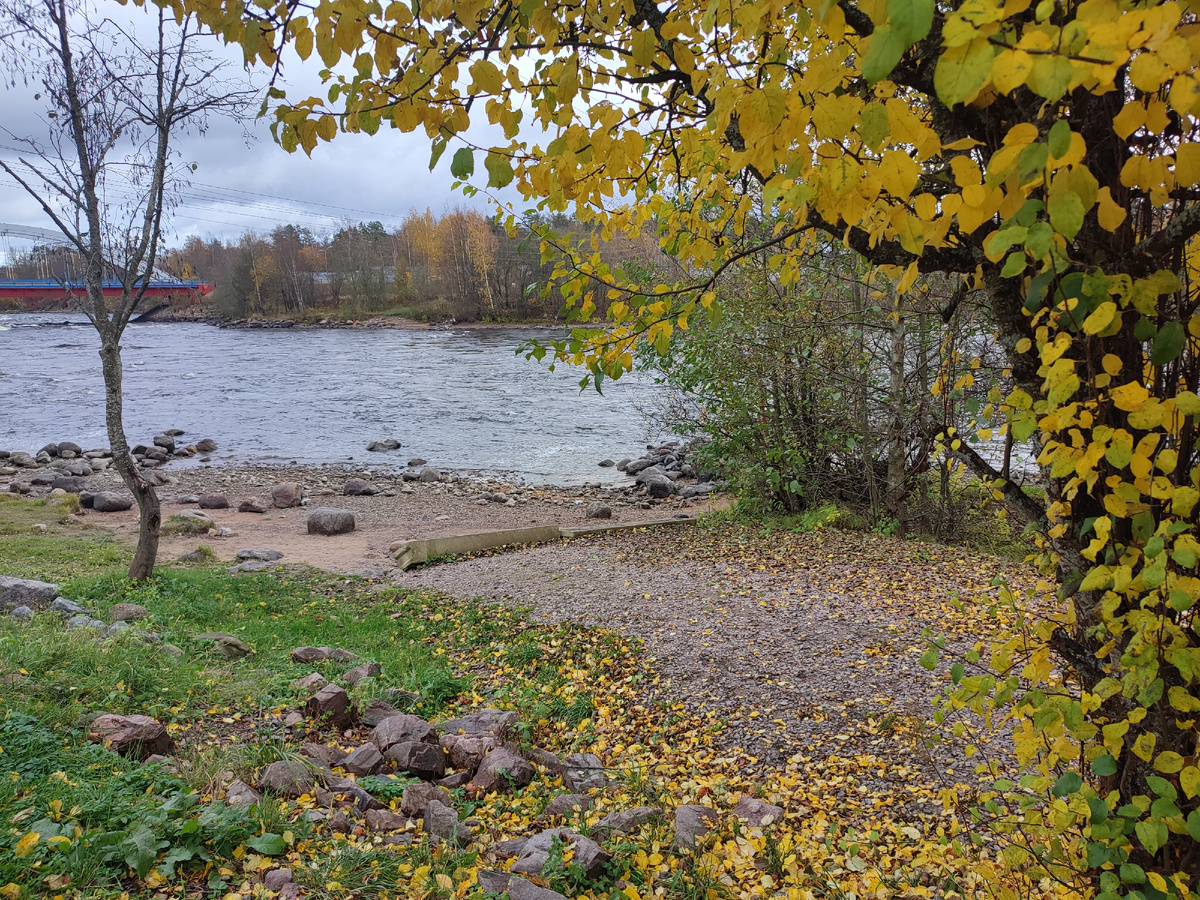 Вуокса в Лосево